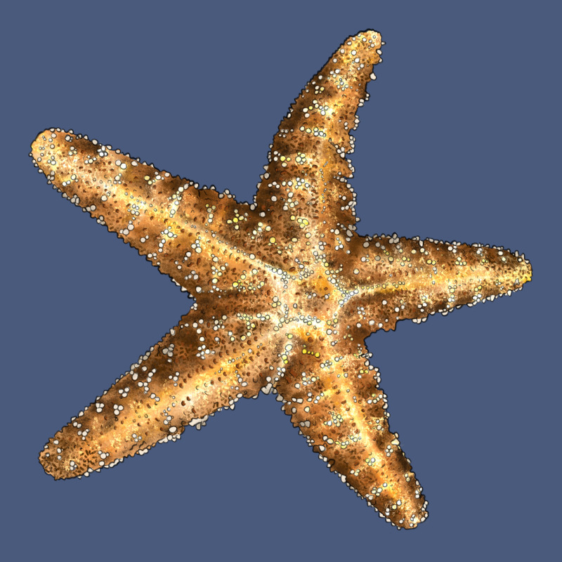 Starfish Vintage Hoodie by LillyAllenDesigns | Teevron