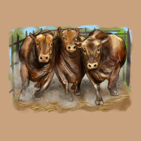 3 Red Angus Bulls Vintage Tee | Teevron