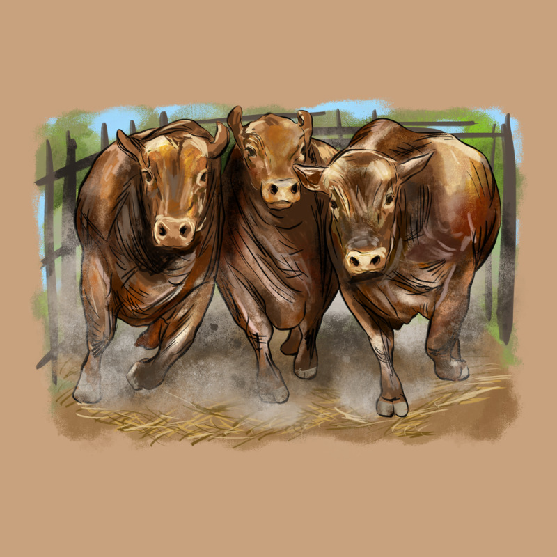 3 Red Angus Bulls Vintage Tee by LillyAllenDesigns | Teevron