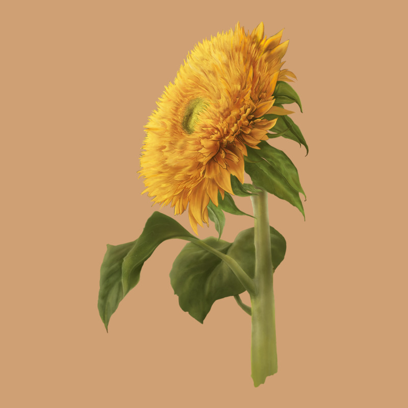 Teddy Bear Sunflower Vintage Tee by LillyAllenDesigns | Teevron