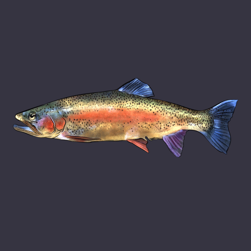 Rainbow Trout Vintage Hoodie by LillyAllenDesigns | Teevron