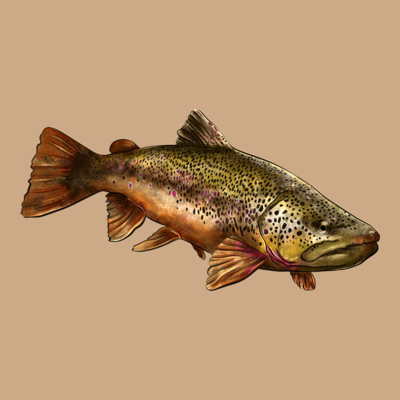 Brown Trout Vintage Hoodie by LillyAllenDesigns | Teevron