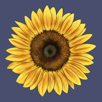 Giganteus Sunflower Vintage Tee | Teevron