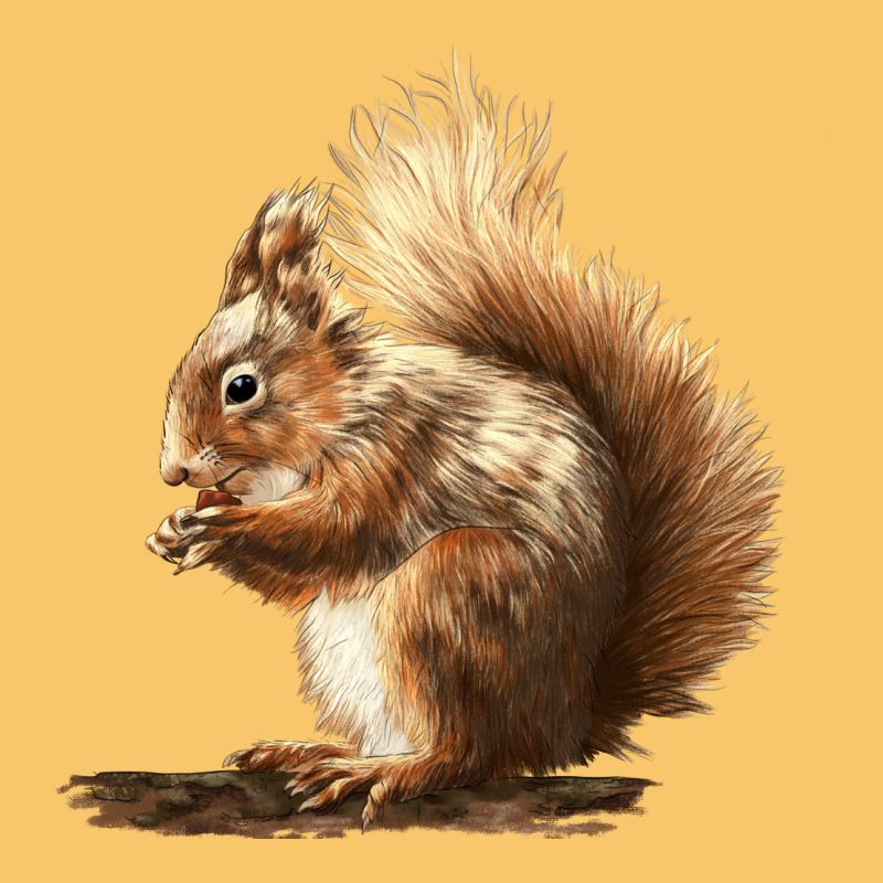 Squirrels Vintage Hoodie by LillyAllenDesigns | Teevron