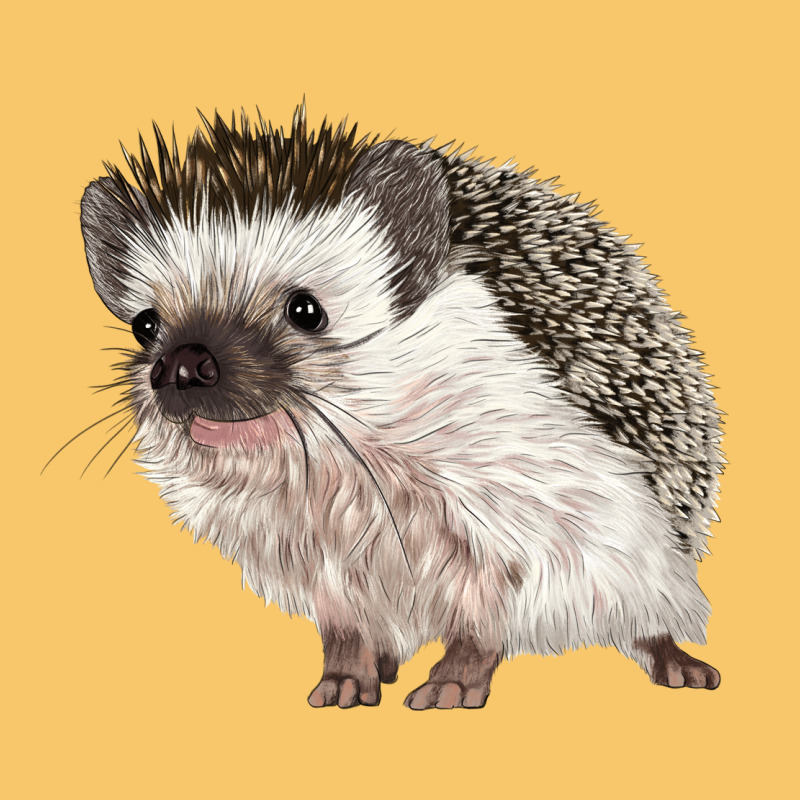 Hedgehog Illustrations Vintage Hoodie by LillyAllenDesigns | Teevron