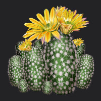 Texas Rainbow Cactus Vintage Tee | Teevron