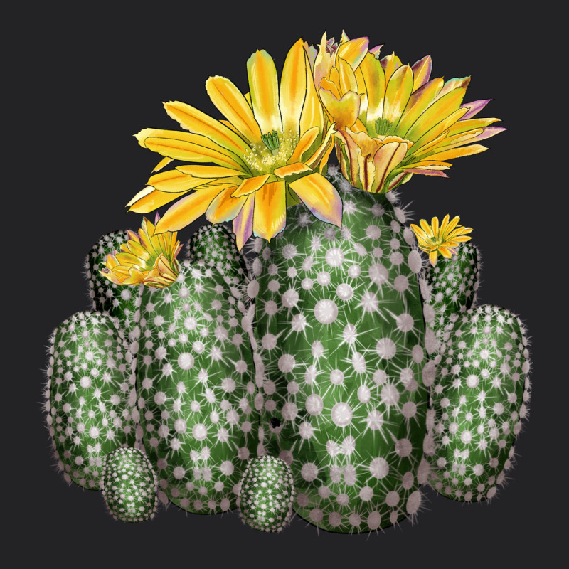 Texas Rainbow Cactus Vintage Tee by LillyAllenDesigns | Teevron