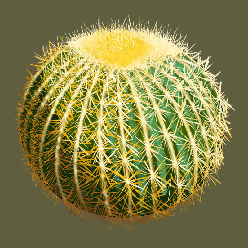 Golden Barrel Cactus Vintage Tee by LillyAllenDesigns | Teevron