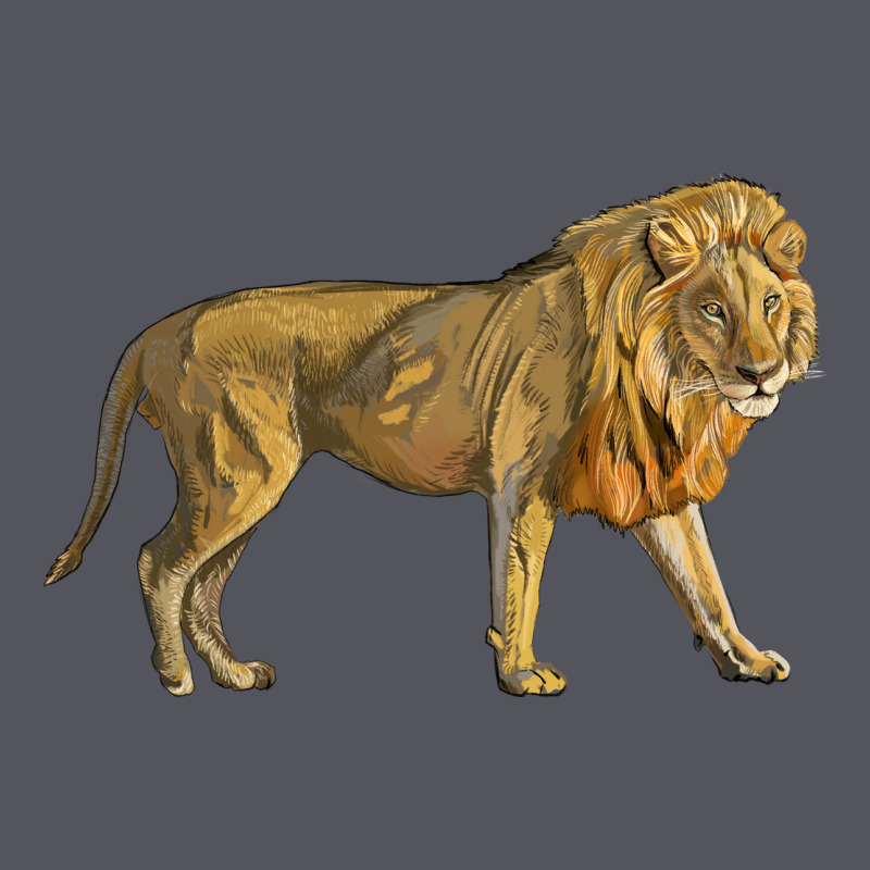Lion Vintage Hoodie by LillyAllenDesigns | Teevron
