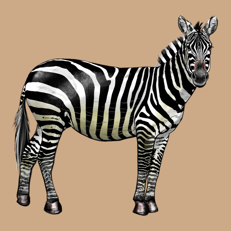 Zebra Vintage Hoodie by LillyAllenDesigns | Teevron