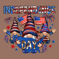 Independence Day With Gnomies Premium Hoodie | Teevron