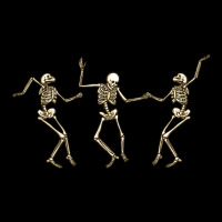 Dancing Skeletons Long Sleeve Tee | Teevron