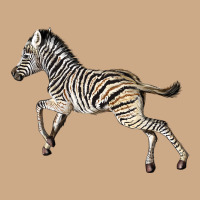 Baby Zebra Vintage Hoodie | Teevron