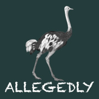 Allegedly Classic Tee | Teevron