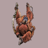 Orangutan And Baby Vintage Hoodie | Teevron