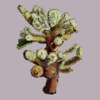 Cholla Tree Cactus Vintage Tee | Teevron