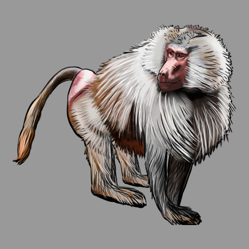 Baboon Vintage Hoodie by LillyAllenDesigns | Teevron