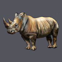Rhino Illustrations Vintage Hoodie | Teevron
