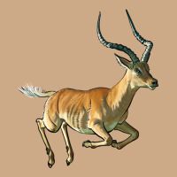 Impala Antelope Illustrations Vintage Hoodie | Teevron