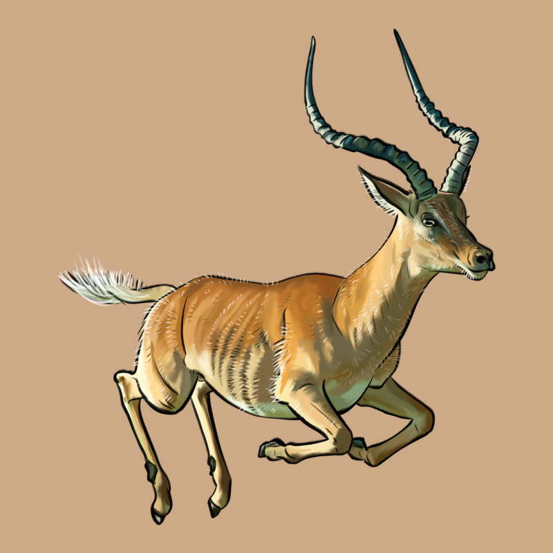 Impala Antelope Illustrations Vintage Hoodie by LillyAllenDesigns | Teevron