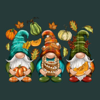 Fall Gnomes Premium Sweatshirt | Teevron