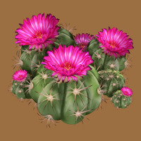 Eagle Claws Cacti Vintage Tee | Teevron