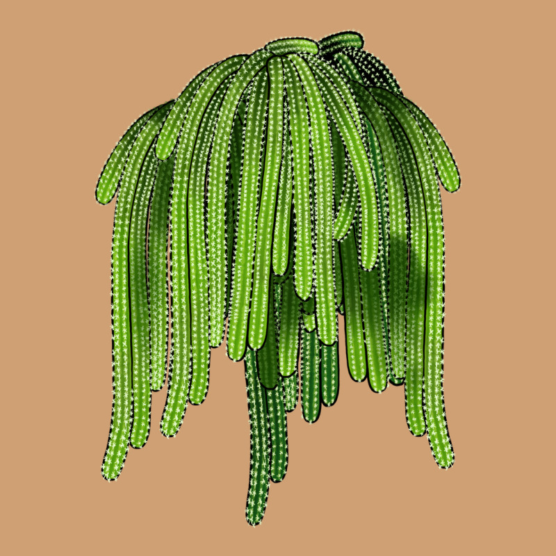 Selenicereus Cactus Vintage Tee by LillyAllenDesigns | Teevron