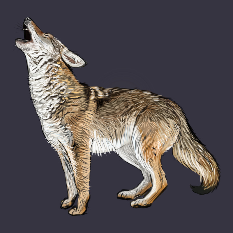Howling Coyote Vintage Hoodie by LillyAllenDesigns | Teevron