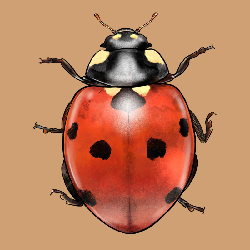 Lady Bug Vintage Tee by LillyAllenDesigns | Teevron