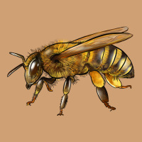 Bee Side Vintage Tee | Teevron