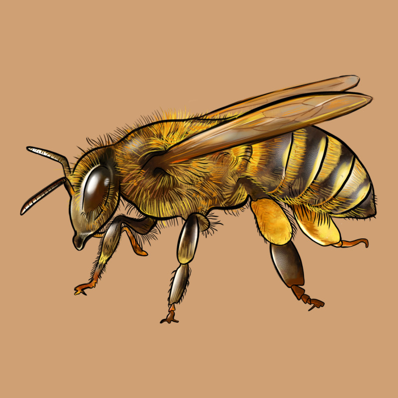 Bee Side Vintage Tee by LillyAllenDesigns | Teevron