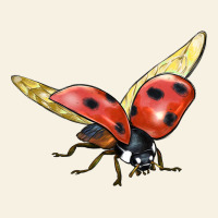 Ladybug Flying Vintage Tee | Teevron