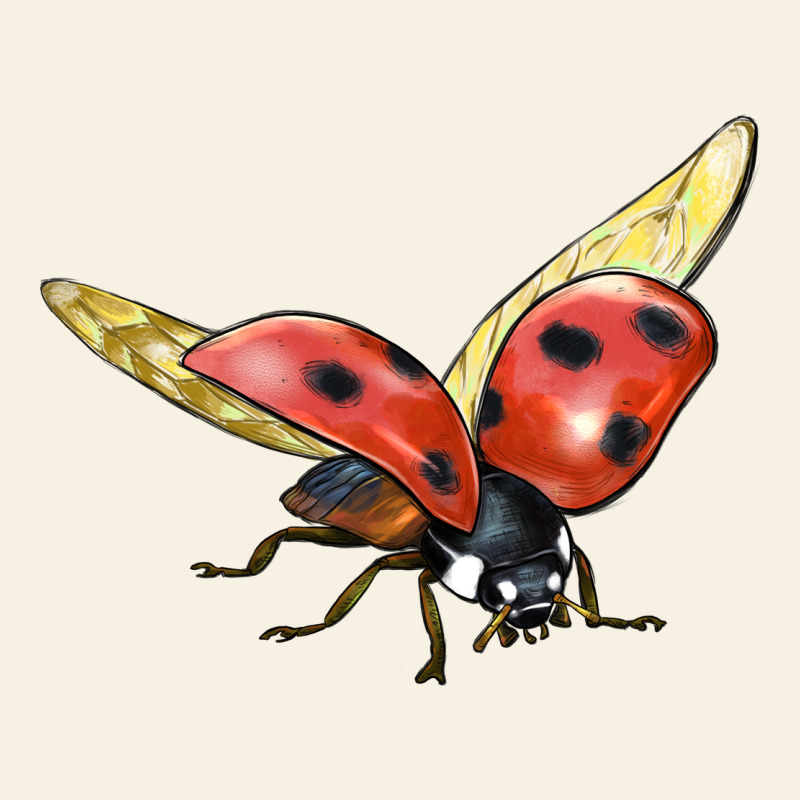 Ladybug Flying Vintage Tee by LillyAllenDesigns | Teevron
