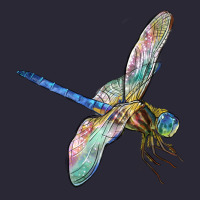 Dragon Fly Vintage Tee | Teevron