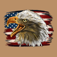 American Flag Eagle Vintage Hoodie | Teevron