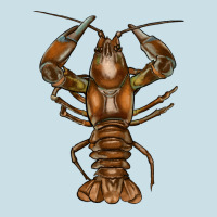 Crawfish Ladies Tee | Teevron