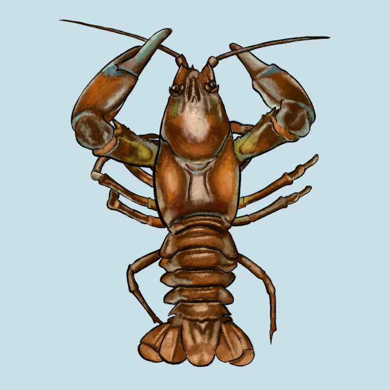 Crawfish Ladies Tee by FaDigitalArtStudio | Teevron