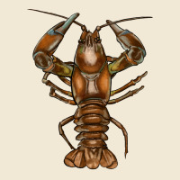 Crawfish Ladies Tee | Teevron