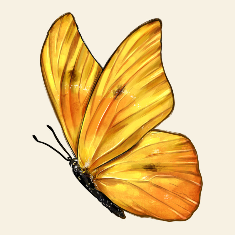 Flying Cloudless Sulphur Butterfly Vintage Tee by LillyAllenDesigns | Teevron
