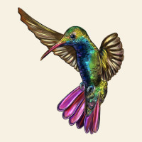 Flying Ruby Throated Hummingbird Vintage Tee | Teevron