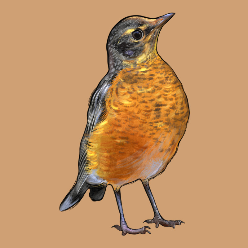 American Robin Bird Vintage Tee by LillyAllenDesigns | Teevron