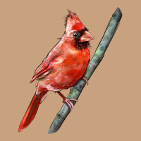 Northern Cardinal Bird Vintage Tee | Teevron