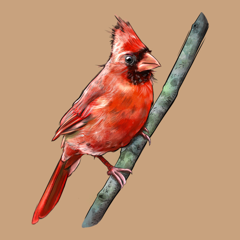 Northern Cardinal Bird Vintage Tee by LillyAllenDesigns | Teevron