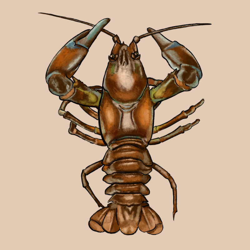 Crawfish Urban Hoodie by FaDigitalArtStudio | Teevron