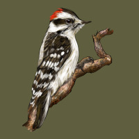 Downy Woodpecker Vintage Tee | Teevron