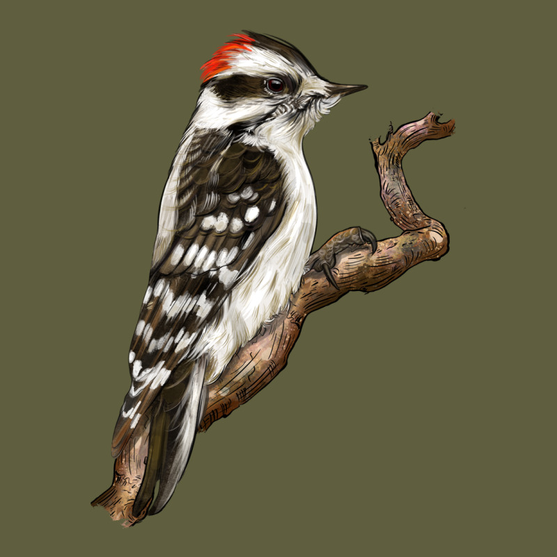 Downy Woodpecker Vintage Tee by LillyAllenDesigns | Teevron