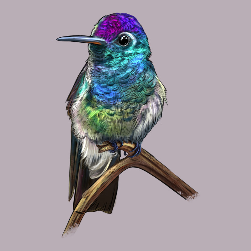 Rivoli`s Hummingbird Vintage Tee by LillyAllenDesigns | Teevron