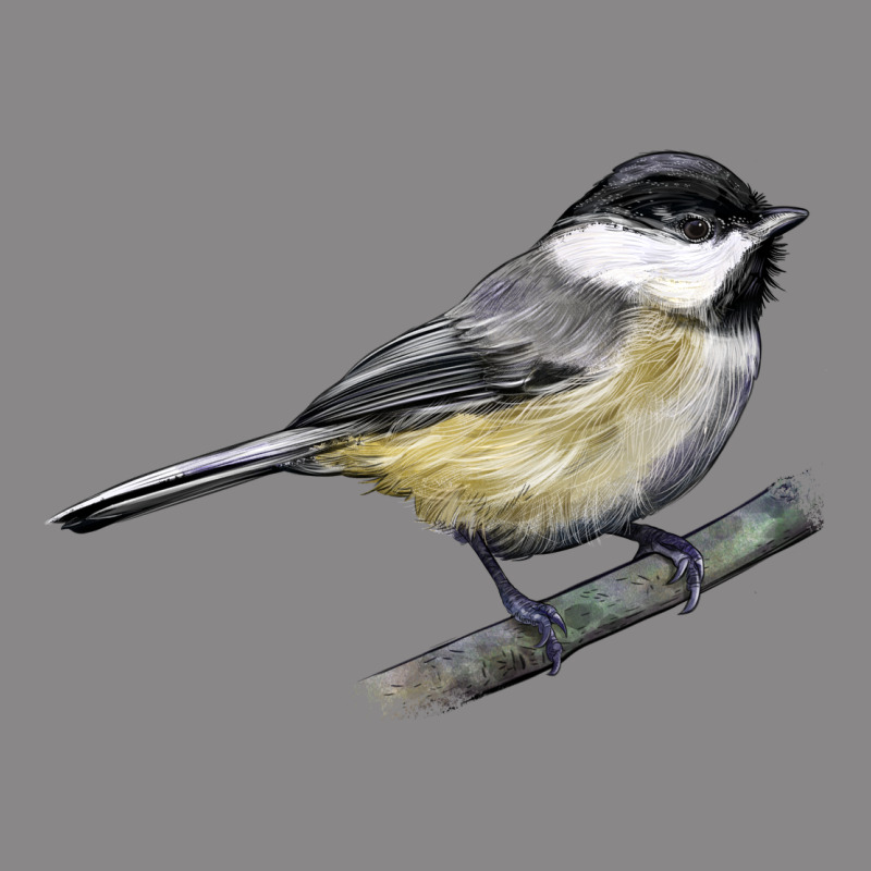 Black Capped Chickadee Vintage Tee by LillyAllenDesigns | Teevron