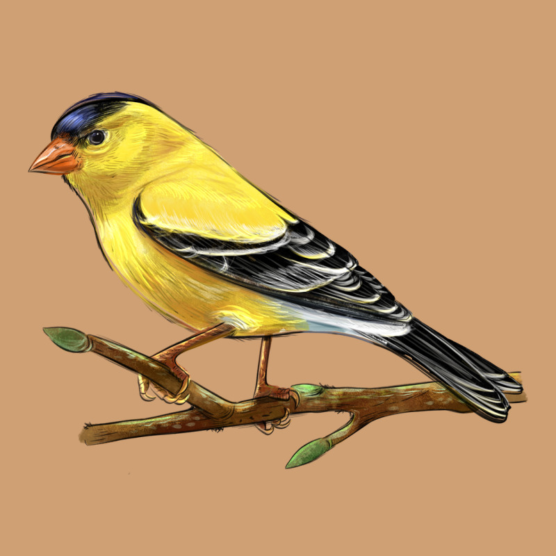 American Goldfinch Vintage Tee by LillyAllenDesigns | Teevron
