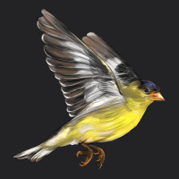 Flying American Goldfinch Vintage Tee | Teevron